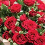 Mix Roses & Spray Roses 2 mix_roses_spray_roses_1.png