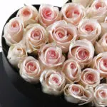 Peach Rose in Heart Box with Ferrero Rocher 4 peach-rose-in-heart-box-with-ferrero-rocher_2026_01_04