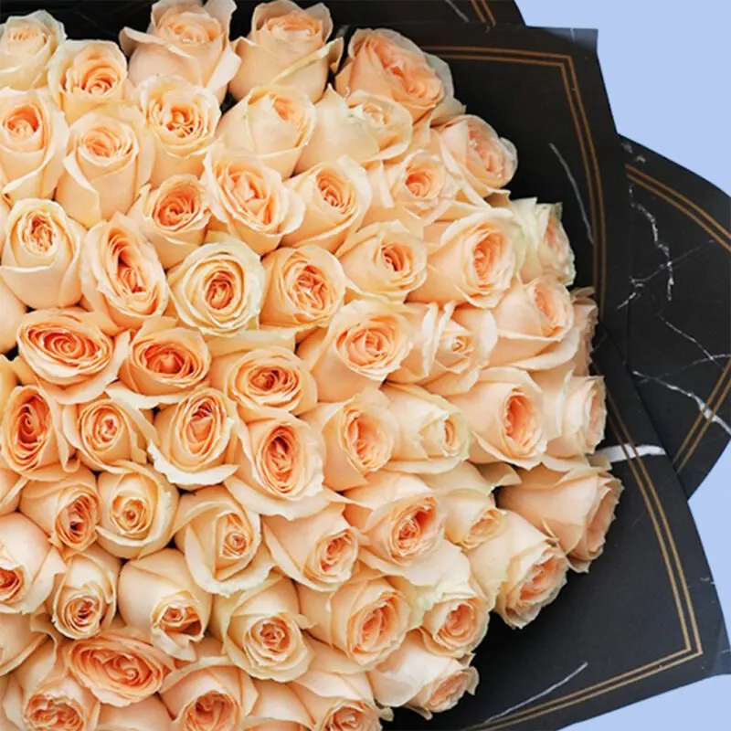 perfect-peach-rose-bouquet-2026_03 perfect peach rose bouquet 2026 03