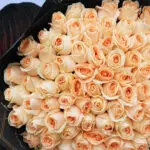 Perfect Peach Rose Bouquet 4 perfect-peach-rose-bouquet-2026_04