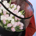 pink-and-white-tulip–black-wrap_2026_02