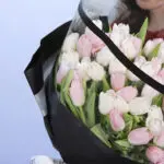 pink-and-white-tulip–black-wrap_2026_03
