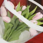 Pink Tulips - 10 stems 4 pink-tulips–10-stems-2026_04