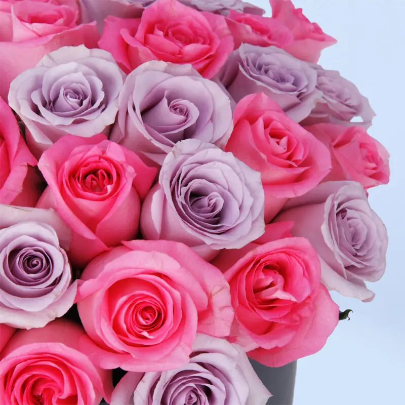 pretty-pink-and-purple-rose-box-2026_03 pretty pink and purple rose box 2026 03