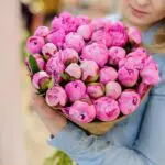 profuse_peonies.png