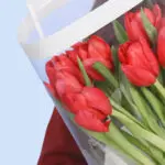 Red Tulips - 10 stems 3 red-tulips–10-stems-2026_03