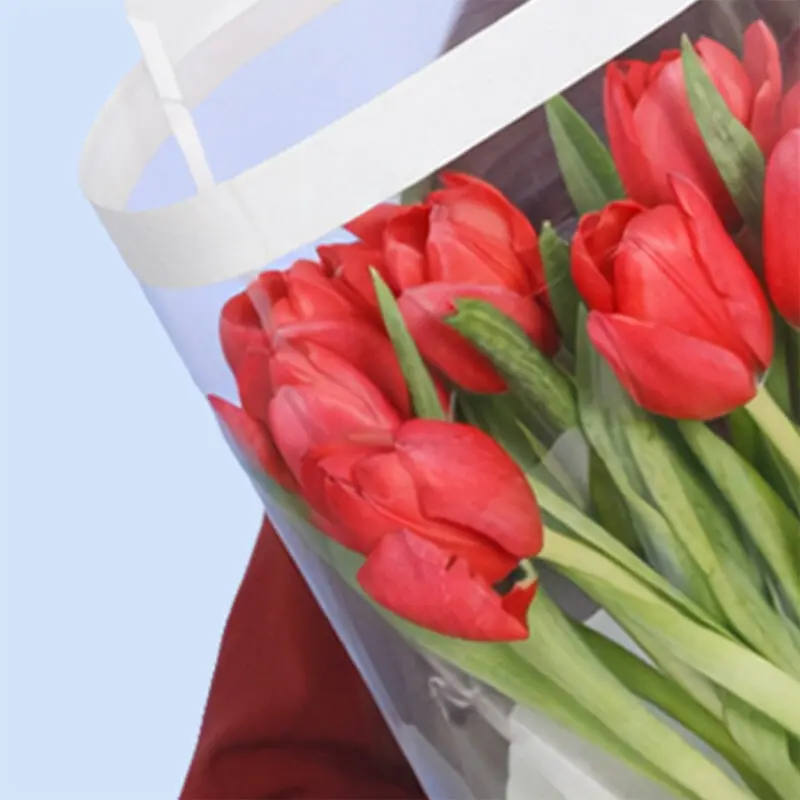red-tulips–10-stems-2026_03 red tulips–10 stems 2026 03