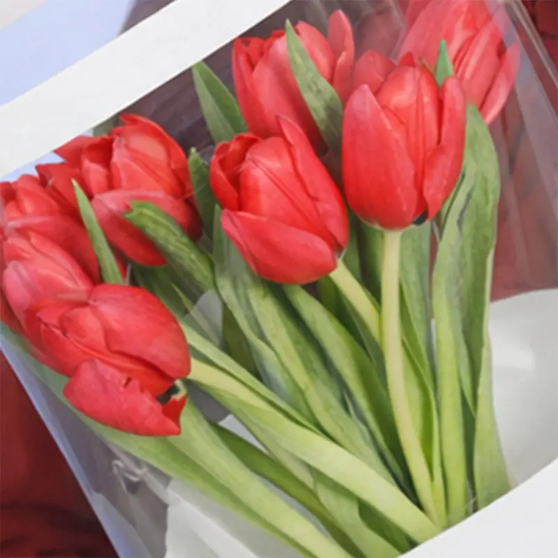 red-tulips–10-stems-2026_04 red tulips–10 stems 2026 04