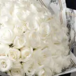 Whitening Rose Bouquet 3 whitening-rose-bouquet-2026_03