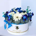 Sincere Blue Surprise 1 01
