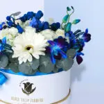 Sincere Blue Surprise 2 02