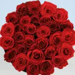 02 (29)