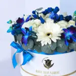Sincere Blue Surprise 4 03