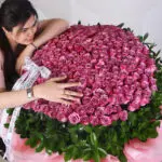 250 Outstanding Purple Roses 3 03