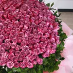 250 Outstanding Purple Roses 5 04