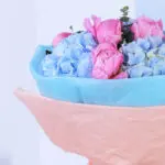 The Elegance in Blue 4 04 (31)