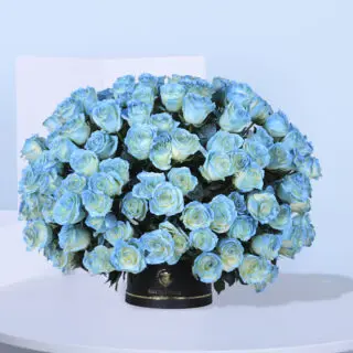 150 Royal Blue Roses
