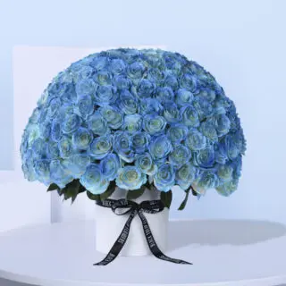 200 Luxury Blue Roses