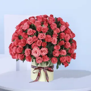 100 Precious Roses