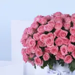 Lavish Pink 3 2 (71)