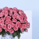 Lavish Pink 2 3 (73)