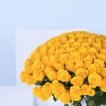 Captivating Yellow Roses Bouquet 4 3 (76)