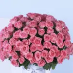 Lavish Pink 4 4 (52)