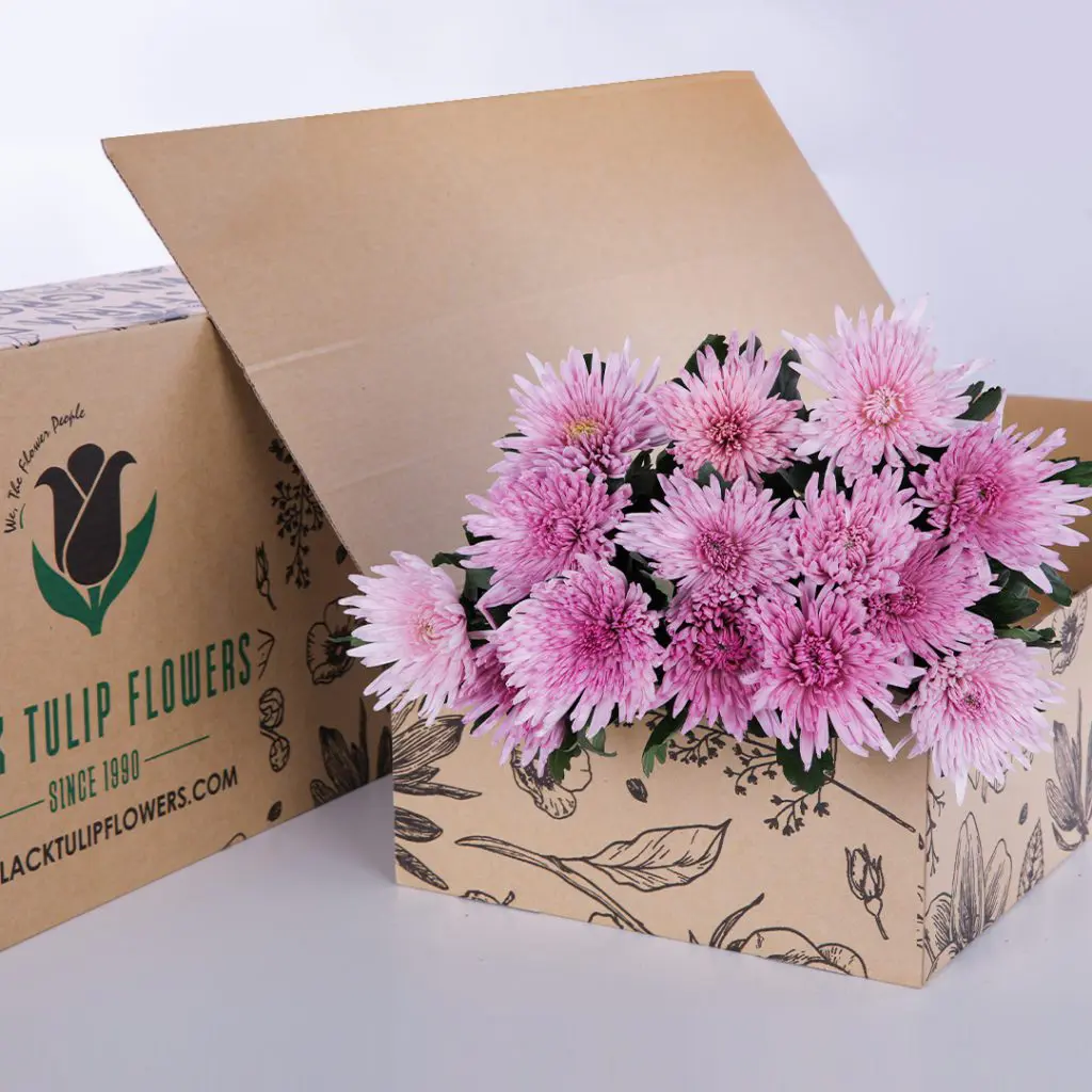 Chrysanthemum Delistar Pink (2) Chrysanthemum Delistar Pink bunch in a cardboard box