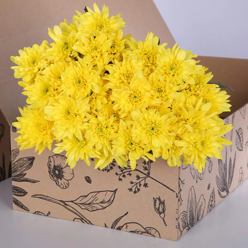 Chrysanthemum - Yellow (1) Chrysanthemum - Yellow