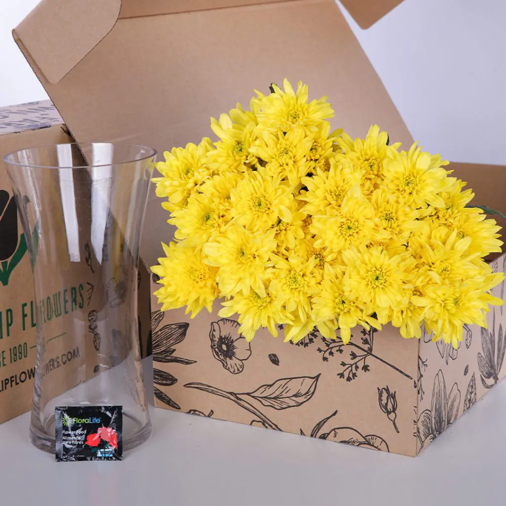 Chrysanthemum - Yellow (3) Yellow Chrysanthemums in a cardboard box