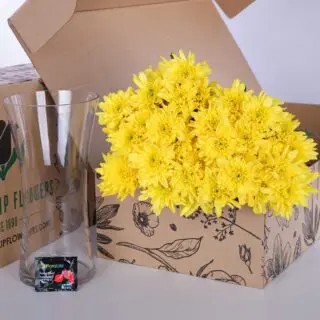 Yellow Chrysanthemums in a cardboard box