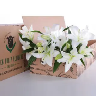 bouquet of pure oriental white lilies, arranged in a cardboard box.