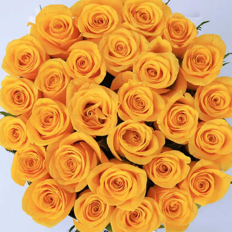 bright yellow roses in a box 2026 02
