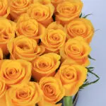 bright-yellow-roses-in-a-box_2026_03