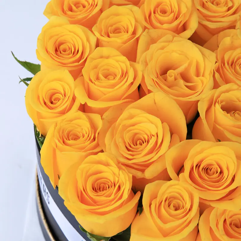 bright yellow roses in a box 2026 04