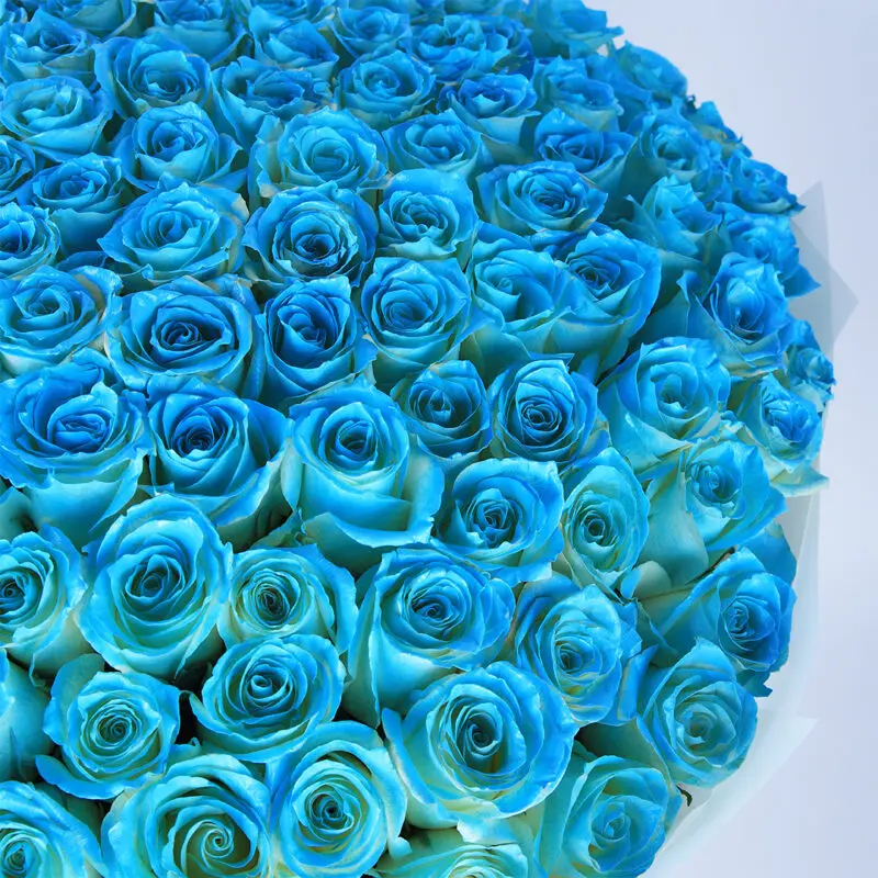 hand bouquet of exquisite blue roses 2026 02