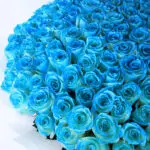 hand-bouquet-of-exquisite-blue-roses_2026_03