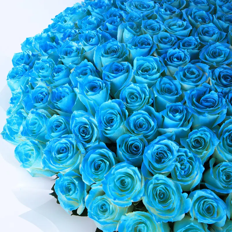 hand bouquet of exquisite blue roses 2026 03