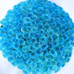 hand-bouquet-of-exquisite-blue-roses_2026_04