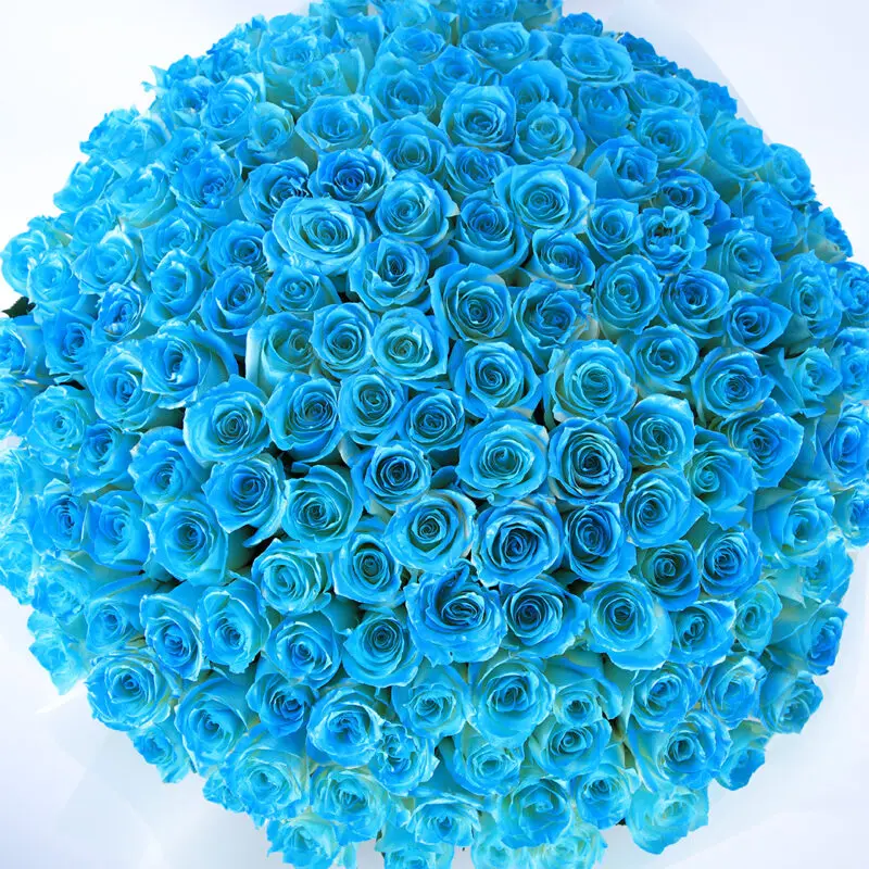 hand bouquet of exquisite blue roses 2026 04