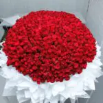 Pure Romance in Red Roses Bouquet 2 0001_1__1