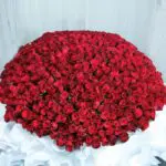 Pure Romance in Red Roses Bouquet 3 001_1__1