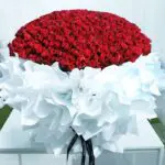 Pure Romance in Red Roses Bouquet 1 01_1_