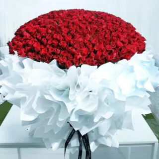 A huge bouquet of red roses, beautifully wrapped in huge volume of white paper and tied with black ribbon.