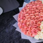 Harmonious Blend 2 02