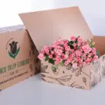 Spray Roses Pink Odilia with vase 3 Spray Roses Pink Odilia with vase