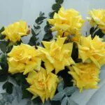 Bright Blossom 2 1928
