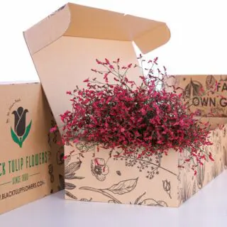 A cardboard box containing a bunch of vibrant red Limonium, also known as Caspia, arranged neatly inside.