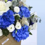 Azure and Ivory 4 3 (57)