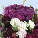 Abundant Garden 2 4 (104)